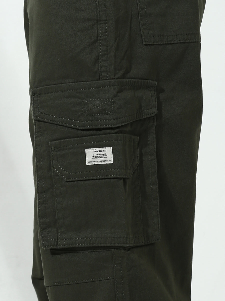 Drak Olive 7Pocket Regular Fit Cargo Paint