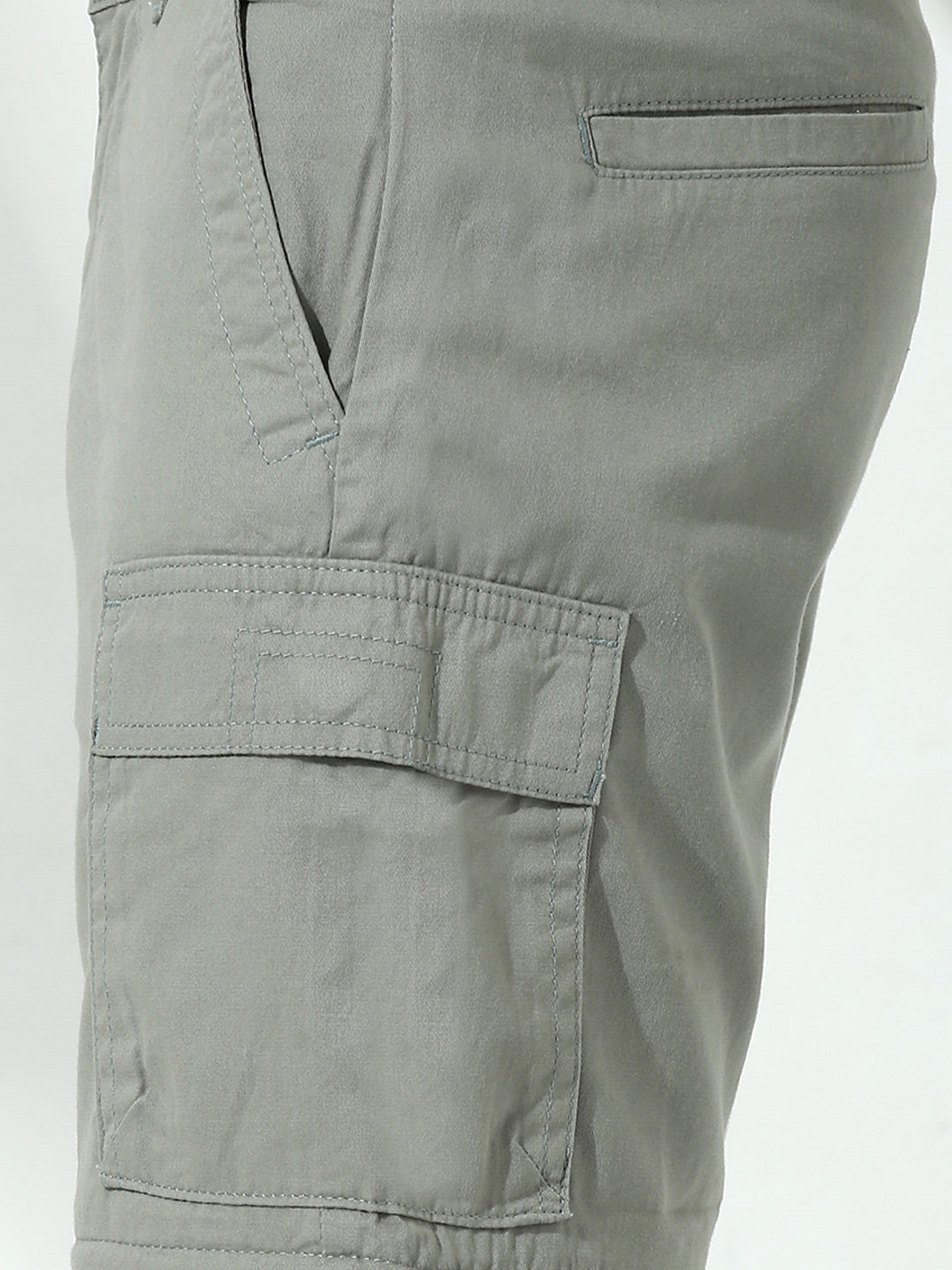 Grey  Detachable Convertable Regular Fit Cargo Paint